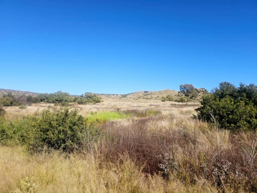 4 Bedroom Property for Sale in Dewetsdorp Free State